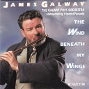 【中古】 Wind Beneath My Wings