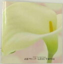 【中古】 α波クラシック
