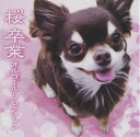 【中古】 桜/卒業オルゴール・コレクション