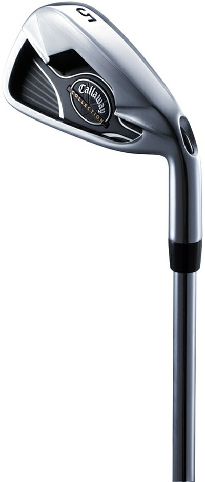 【中古】 キャロウェイ (Callaway) キャロウェイコレクション アイアンセット 番手:#5-PW 6本 シャフト:Dynamic Gold スチール フ...