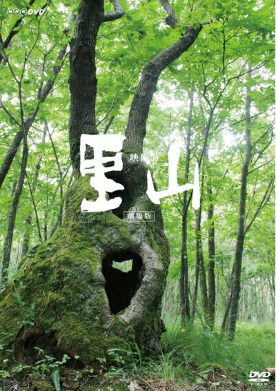 ����š� ������ Τ��������ǡ� [DVD]