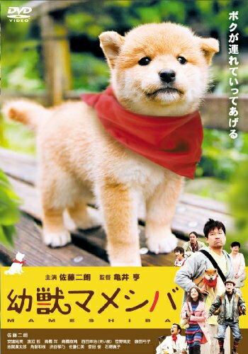 【商品名】映画版 幼獣マメシバ [DVD]（中古品）中古品の特性上【破れ、パッケージの欠け,割れ、レンタル落ち、メモ書き】等がある場合がございます。また、商品名に【付属、特典、○○付き、ダウンロードコード】等の記載があっても中古品の場合は基本的にこれらは付属致しません。当店の中古品につきましては商品チェックの上、動作に問題がないものを取り扱っております。ご安心いただきました上でご購入ください。保証等の記載がある場合がございますが、中古品となりますためメーカー保証の対象外となります。あらかじめご承知おきください。【ご注文〜発送完了までの流れ】ご注文は24時間365日受け付けております。当店から商品発送後に発送通知メールが送信されます。発送までの期間といたしましては、ご決済完了後より2〜5営業日程度となります。【ご注意事項】当店はお客様都合によるご注文・ご決済後のキャンセル・返品はお受けしておりません。ご承知おきのうえご注文をお願いいたします。当店は一部商品を他モール等と併売させていただいております。完売の際はご連絡させていただきます。予めご承知おきのほどお願いいたします。掲載されております画像はイメージとなります。実際の商品とは色味・付属品等が異なる場合がございますため、予めご承知おきください。