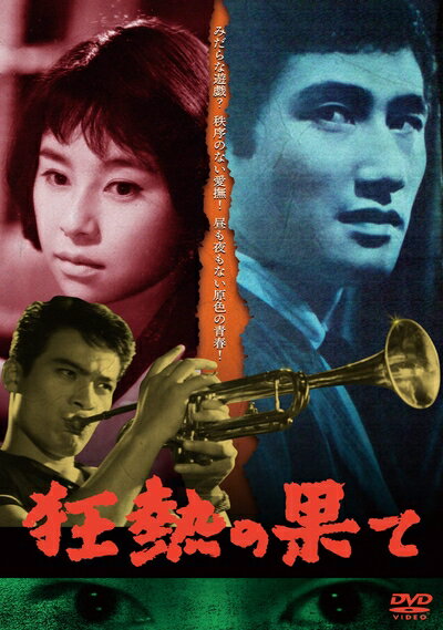 【中古】 狂熱の果て [DVD]