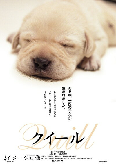 【商品名】「きな子〜見習い警察犬の物語〜」DVD発売記念　犬だワンダフルキャンペーン　クイール（限定生産）（中古品）中古品の特性上【破れ、パッケージの欠け,割れ、レンタル落ち、メモ書き】等がある場合がございます。また、商品名に【付属、特典、○○付き、ダウンロードコード】等の記載があっても中古品の場合は基本的にこれらは付属致しません。当店の中古品につきましては商品チェックの上、動作に問題がないものを取り扱っております。ご安心いただきました上でご購入ください。保証等の記載がある場合がございますが、中古品となりますためメーカー保証の対象外となります。あらかじめご承知おきください。【ご注文〜発送完了までの流れ】ご注文は24時間365日受け付けております。当店から商品発送後に発送通知メールが送信されます。発送までの期間といたしましては、ご決済完了後より2〜5営業日程度となります。お届け日を「指定なし」としていただきますと最短で発送されます。【ご注意事項】当店はお客様都合によるご注文・ご決済後のキャンセル・返品はお受けしておりません。ご承知おきのうえご注文をお願いいたします。当店は一部商品を他モール等と併売させていただいております。完売の際はご連絡させていただきます。予めご承知おきのほどお願いいたします。掲載されております画像はイメージとなります。実際の商品とは色味・付属品等が異なる場合がございますため、予めご承知おきください。