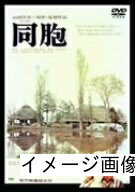 【商品名】同胞 [DVD]（中古品）中古品の特性上【破れ、パッケージの欠け,割れ、レンタル落ち、メモ書き】等がある場合がございます。また、商品名に【付属、特典、○○付き、ダウンロードコード】等の記載があっても中古品の場合は基本的にこれらは付属致しません。当店の中古品につきましては商品チェックの上、動作に問題がないものを取り扱っております。ご安心いただきました上でご購入ください。保証等の記載がある場合がございますが、中古品となりますためメーカー保証の対象外となります。あらかじめご承知おきください。【ご注文〜発送完了までの流れ】ご注文は24時間365日受け付けております。当店から商品発送後に発送通知メールが送信されます。発送までの期間といたしましては、ご決済完了後より2〜5営業日程度となります。お届け日を「指定なし」としていただきますと最短で発送されます。【ご注意事項】当店はお客様都合によるご注文・ご決済後のキャンセル・返品はお受けしておりません。ご承知おきのうえご注文をお願いいたします。当店は一部商品を他モール等と併売させていただいております。完売の際はご連絡させていただきます。予めご承知おきのほどお願いいたします。掲載されております画像はイメージとなります。実際の商品とは色味・付属品等が異なる場合がございますため、予めご承知おきください。