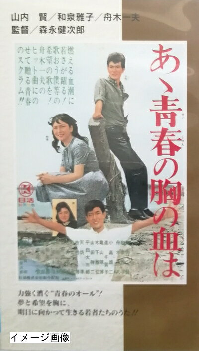 【中古】 あゝ青春の胸の血は [VHS]