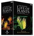 【中古】 BBCドキュメント100シリーズ プライベート・ライフ・オブ・プランツ/植物の世界 DVD-BOX
