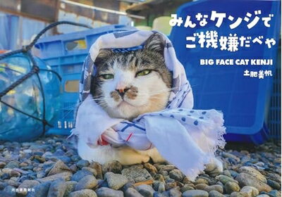 【中古】 みんなケンジでご機嫌だべや