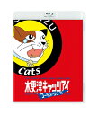 【中古】 木更津キャッツアイ ワールドシリーズ Blu-ray 【本編Blu-ray+特典DVD/2枚組】