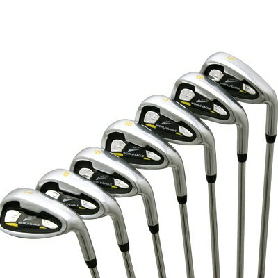 【中古】(新古品) WORLD EAGLE(ワールドイーグル) 5Z メンズ アイアンセット ブラック 右用 フレックスR WE-5Z-iS-BK-R R