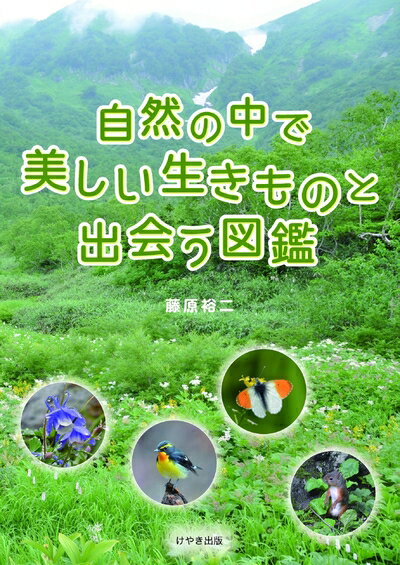 【中古】 自然の中で美しい生きものと出会う図鑑
