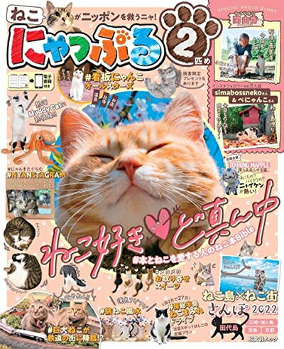 【中古】 にゃっぷる 2匹め (昭文社ムック)