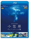 【中古】 世界自然遺産 小笠原 〜ボニンブルーの海〜【Blu-ray Disc】