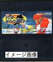 【中古】 USA ICE HOCKEY in FC