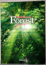 【中古】(新古品) 総合英語Forest 6th edition
