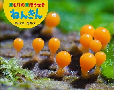 【中古】 もりの ほうせき ねんきん (ふしぎいっぱい写真絵本 33)