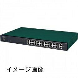 【新古品】 パナソニックEWネットワークス GA-AS24TPoE+ PN25248