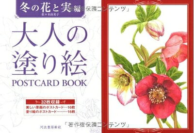 【最短発送日時につきまして】商品のお届け日を「指定なし」としていただきますと最短で発送されます。最短でのお届けをご希望の場合には、お届け日を「指定なし」としてご注文いただきますようお願いいたします。【商品名】大人の塗り絵 POSTCARD BOOK 冬の花と実編（中古品）中古本の特性上【ヤケ、破れ、折れ、メモ書き、匂い】等がある場合がございます。また、商品名に【付属、特典、○○付き、ダウンロードコード】等の記載があっても中古品の場合は基本的にこれらは付属致しません。当店の中古品につきましては商品チェックの上、問題がないものを取り扱っております。ご安心いただきました上でご購入ください。【ご注文〜発送完了までの流れ】ご注文は24時間365日受け付けております。当店から商品発送後に発送通知メールが送信されます。発送までの期間といたしましては、ご決済完了後より2〜5営業日程度となります。お届け日を「指定なし」としていただきますと最短で発送されます。【ご注意事項】■返品について当店はお客様都合によるご注文・ご決済後のキャンセル・返品はお受けしておりません。ご承知おきのうえご注文をお願いいたします。■商品画像につきまして掲載されております画像はイメージとなります。実際の商品とは色味・付属品等が異なる場合がございますため、予めご承知おきください。■当店へのご連絡につきましてご連絡の際には購入履歴の「ショップへお問い合わせ」よりご連絡をいただきますようお願いいたします。