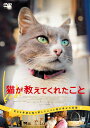 【中古】 猫が教えてくれたこと DVD