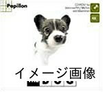【中古】 THE DOG 〜Papillon