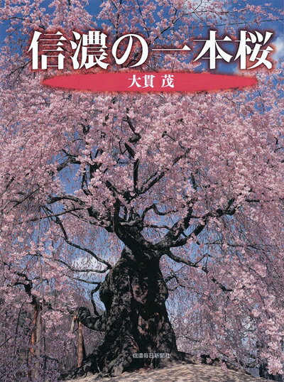 【中古】 信濃の一本桜
