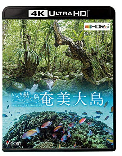 ����š� ���������4K��HDR�ۡ����Τ��¤���� ��4K Ultra HD�֥롼�쥤�� [Blu-ray]