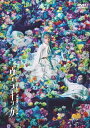 【中古】 ミュージカル『ヴェラキッカ』DVD 通常版