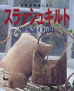 【中古】 スラッシュキルト: 多彩な布あしらい