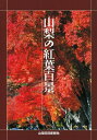 【中古】 山梨の紅葉百景