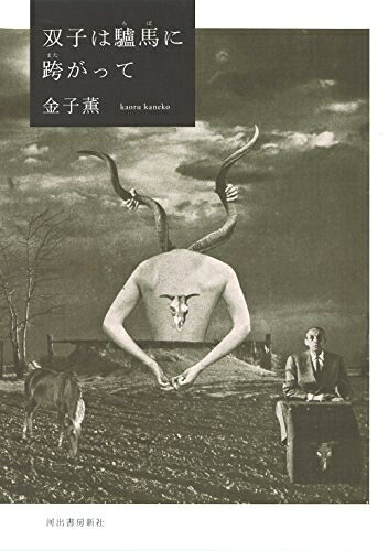 Pocketbooks （Nonfiction） - 【中古】 双子は驢馬に跨がって