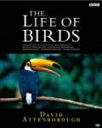【中古】 BBC ライフ・オブ・バーズ/鳥の世界 DVD-BOX