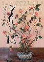 【中古】 花心