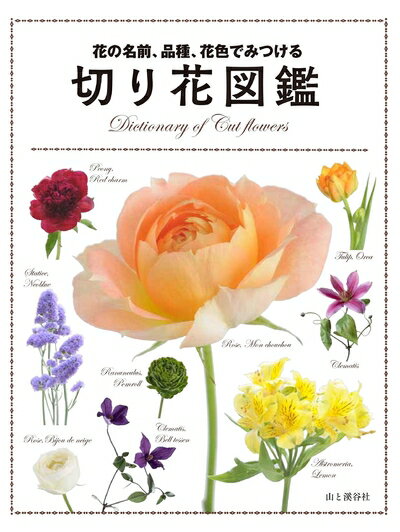 【中古】 花の名前、品種、花色でみつける 切り花図鑑