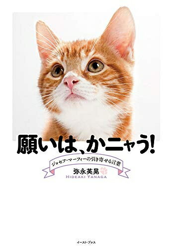 Nonfiction （JAPAN） - 【中古】 願いは、かニャう! ジョセフ・マーフィーの引き寄せる言葉
