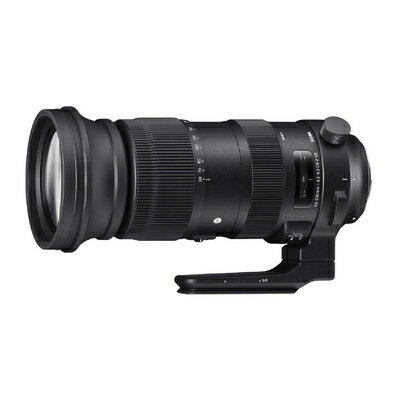 【中古】（新古品） シグマ(Sigma) SIG