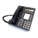 【中古】 Avaya 8410D 携帯電話 ブラック。