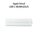 Apple Pencil USB-C MUWA3ZA/A