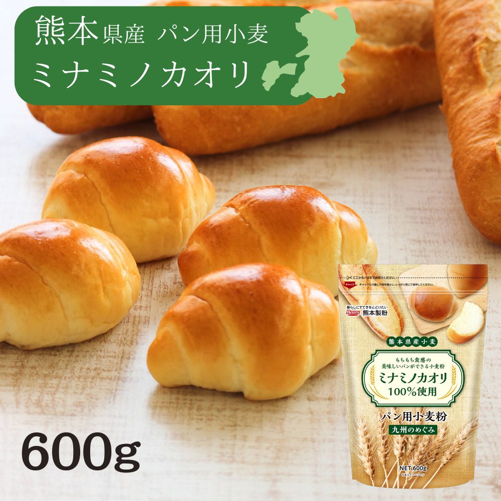 【セール！50%OFF】 熊本県産小麦 九州のめぐみ 600gミナミノカオリ パン用 強力粉 ホームベーカリー ..