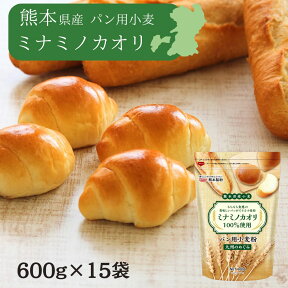 〔送料込〕熊本県産小麦 九州のめぐみ9kg (600gX15個) ミナミノカオリ パン用 強力粉 パン材料 ホームベーカリー