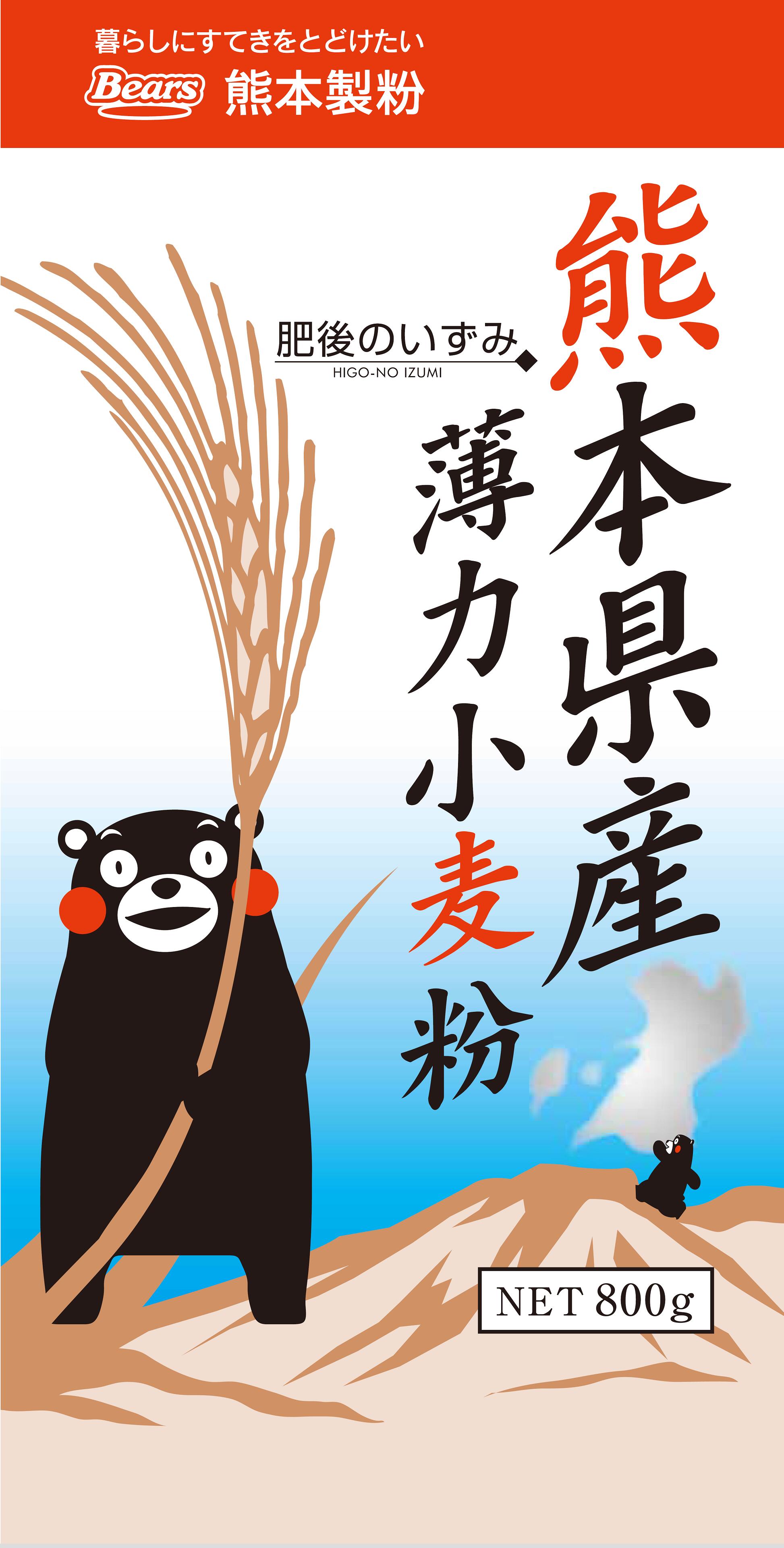 〔送料込〕　肥後のいずみ　800g×15袋入(12kg)熊本県産　天ぷら　菓子　お好み焼き　熊本製粉