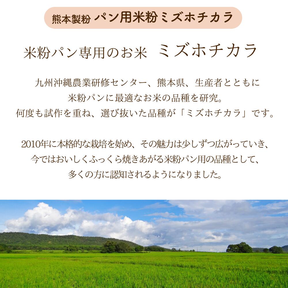 【 送料無料 ゆうパケット 】 米粉 九州 ミズホチカラ 米粉 300g×2袋| グルテンフリー 粉 九州産 国産 国内産 ホームベーカリー 米粉パン 米 アレルギー パン 食パン 蒸しパン 2番 製菓 パンケーキ 製パン 菓子 ピザ生地 ピザ 麺 うどん 家庭用 熊本製粉　微粉砕 3