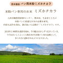 米粉 パン用 ミズホチカラ 2Kg | グルテンフリー 認証 パン用米粉 九州産 国産 国内産 無添加 ホームベーカリー 米粉パン 米 アレルギー パン 食パン 蒸しパン シュー 製菓 パンケーキ 製パン 菓子 ピザ生地 ピザ 麺 メン うどん スイーツ 熊本製粉 微粉砕 粉 3