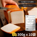 〔送料込〕 九州 ミズホチカラ 米粉 300g×10袋| グルテンフリー 粉 ミズホノチカラ 九州産 国産 国内産 ホームベーカリー 米粉パン 米 アレルギー ...