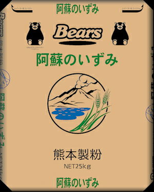 〔送料込〕【国産小麦麺用粉】阿蘇のいずみ 25kg めん 麺 麺用 製麺 九州産 チクゴイズミ 小麦粉 25kg 業務用加工食品