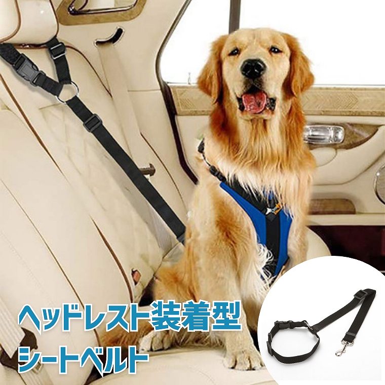 ペット シートベルト 車用リード ヘッドレスト装着型リード 犬用品 ペット用品 猫 黒 ブラック 安全ベルト ドライブ 長時間 お散歩 小型犬 中型犬 飛び出し防止 遠出 犬猫用 車専用リード 首輪リード 訓練リード 簡単調節 調節可能 大型犬 犬カー用品