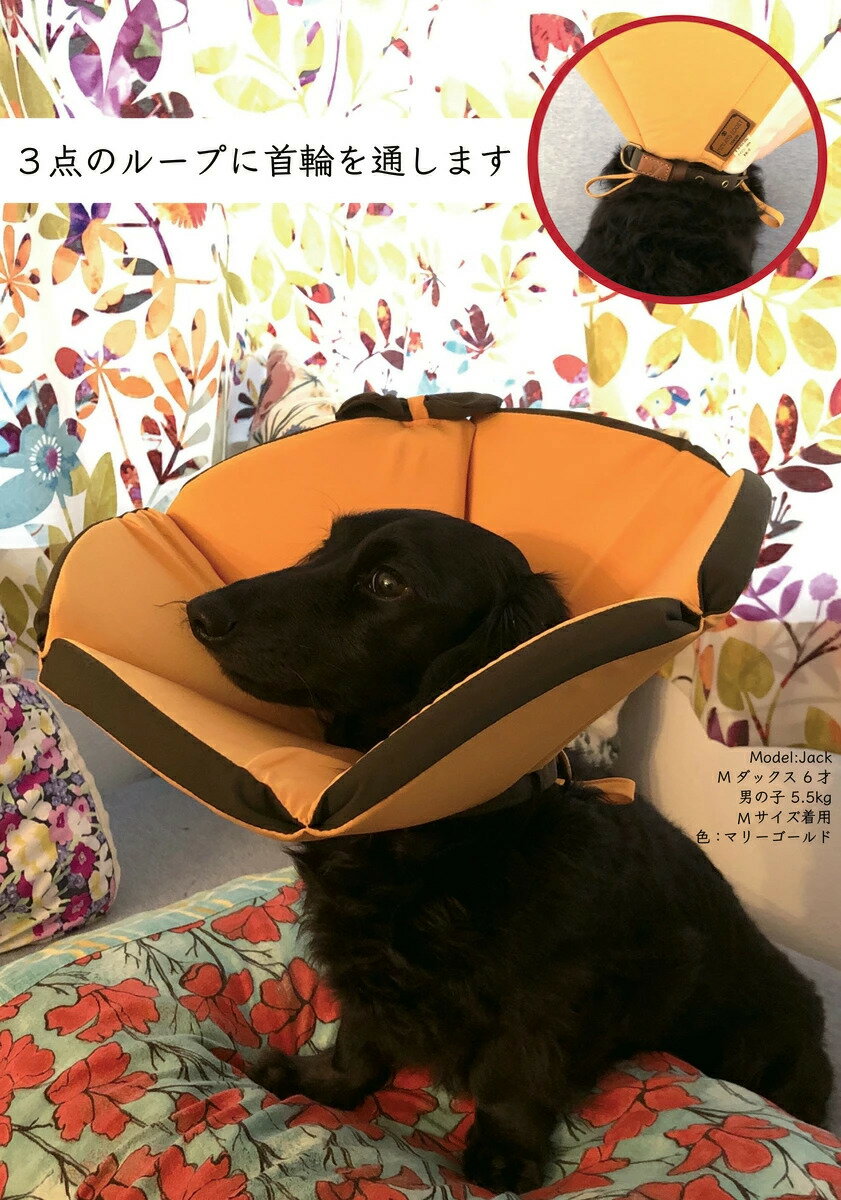 ���ꥶ�٥����顼 ������ ���ե� �� ���ꥫ�� ������ ǭ �ڥå� �ڤ� ���餫�� ��� ���� �µ� �Ѹ� �Ӥ� �ߤ� ��� ���� ���� ��ǥ Ϸ�� ���� ����� ������̵����XS