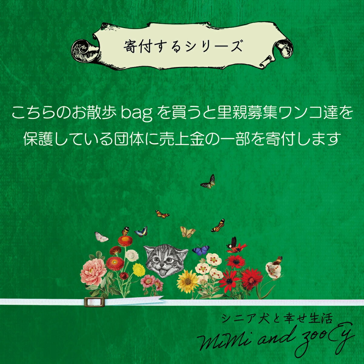 ������Хå� �� �ޥʡ��Хå� ���� �����Хå� �ȡ��ȥХå� ������� ���� �إ��դ��륷�꡼���٥����ƥ����Хå� �ޥʡ� ���⥰�å� �ޥʡ��ݡ��� �ץ쥼��� ���ե�