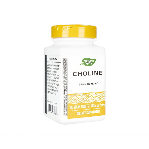 【海外通販 正規品 日時指定不可】コリン 500mg 100錠 1本Nature 039 s Way Choline：国際書留郵便発送