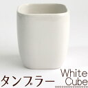 タンブラー ホワイトキューブ 歯みがきコップ洗面用品 陶器 おしゃれ