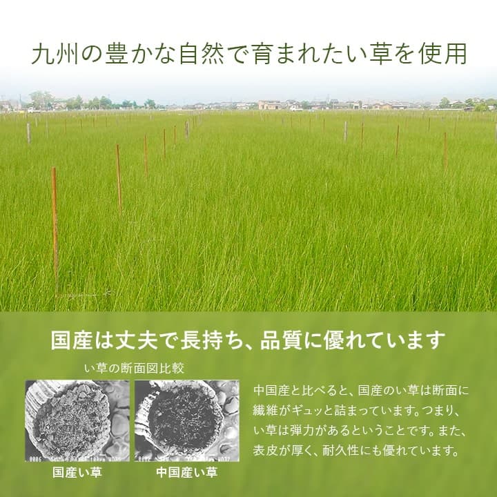 置き畳 1畳 国産 い草 簡単 和室 約82×164cm 3枚組